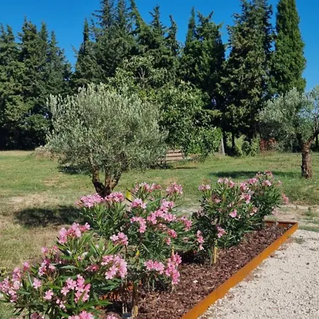 Bed & Breakfast Le Pasadin Valreas