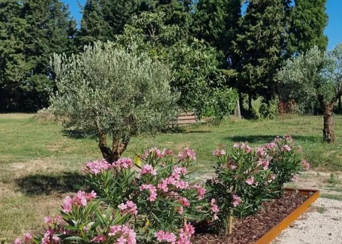 Oda ve Kahvaltı Le Pasadin Valréas